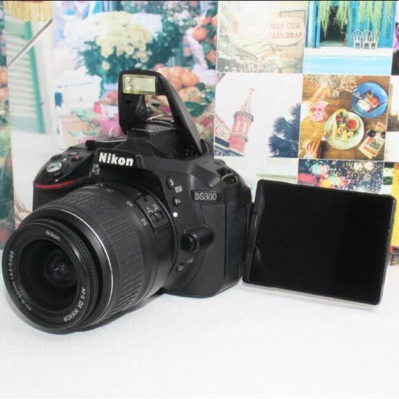 Wi-Fi内蔵機種新品カメラバッグ付きNikon D5300