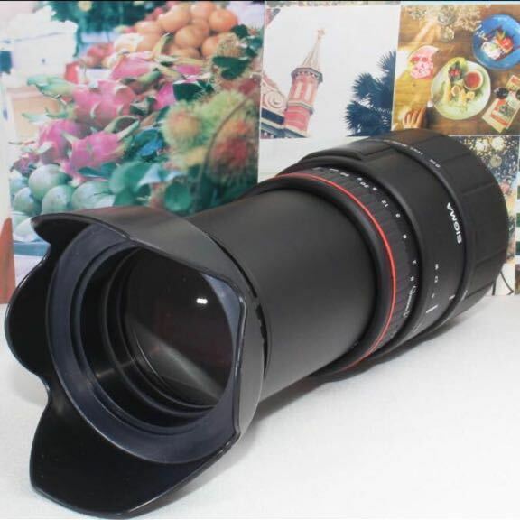 ど迫力の超望遠レンズシグマ 70-300mm ソニー aマウント用