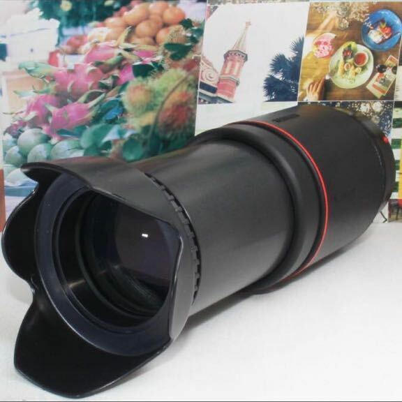 超ど迫力の超望遠レンズタムロン 70-300 mm ソニー aマウント用