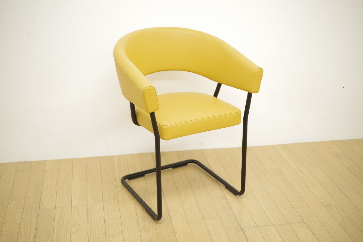 TECTA テクタ D9 ダイニングチェア アームチェア ラウンジチェア モダン デザイナーズ リビング 店舗 ダイニング ACTUS取扱【B】