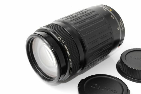 ★良品★ キヤノン CANON EF 75-300mm F4-5.6 USM ★薄クモリ 影響なし★ #M89075080