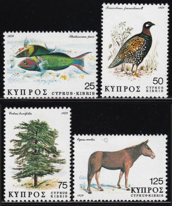 ak1446 キプロス 1979 自然保護 #516-9