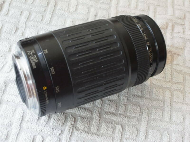 CANON ZOOM LENS EF 75-300mm 1:4-5.6 動品 ジャンク品扱い