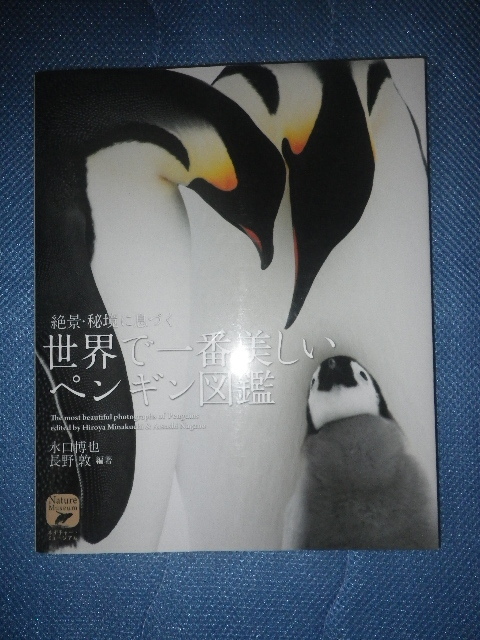 ●絶景・秘境に息づく　世界で一番美しい　ペンギン 図鑑