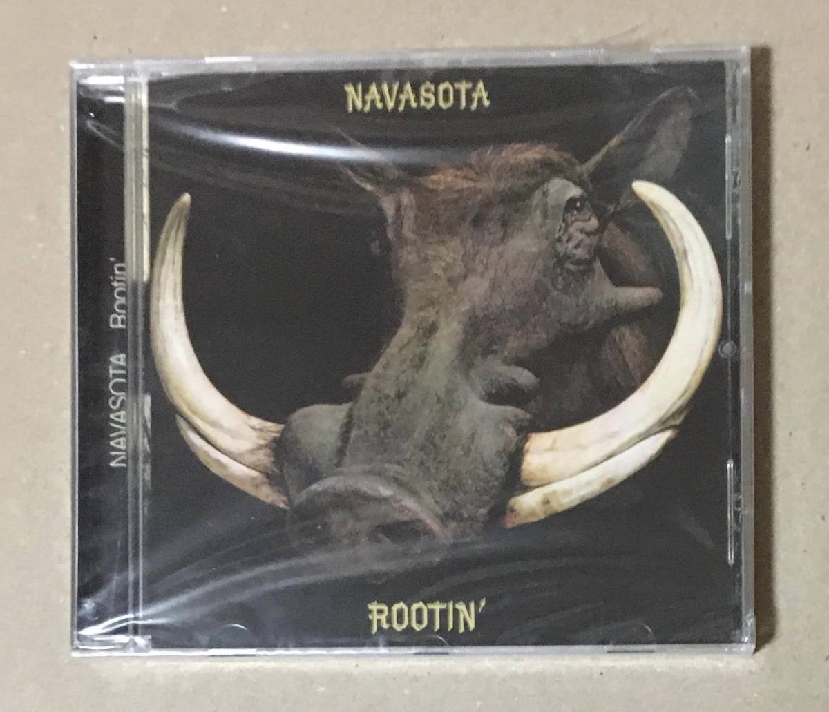 新品未開封　NAVASOTA　/　Rootin' 