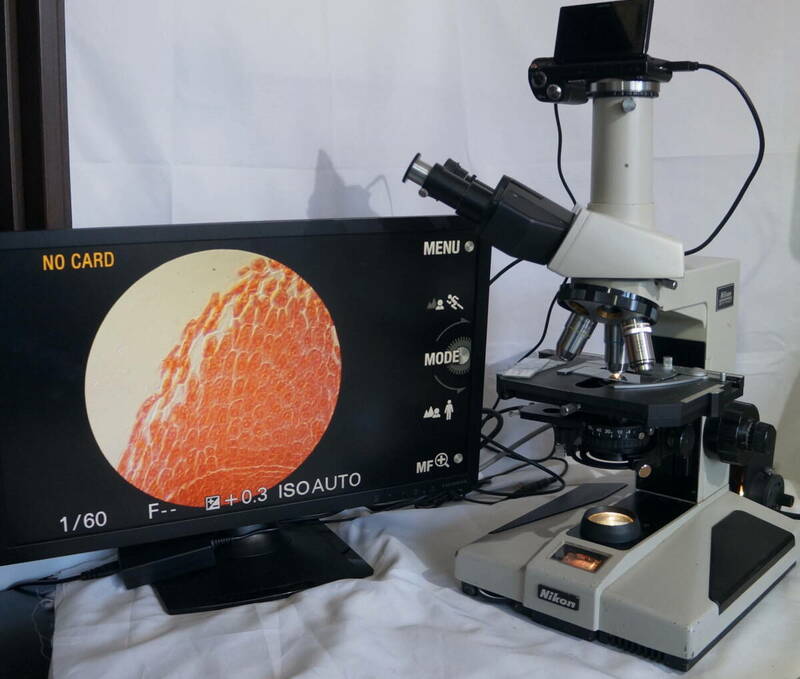 ニコン　位相差顕微鏡　OPTIPHOT　偏光観察も可能　　　SONY１６００万画素　一眼デジカメ 大型モニタ