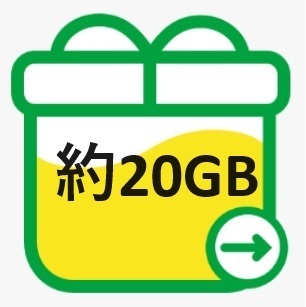 mineo マイネオ パケットギフト 約20GB 送料無料 クーポンをお持ちの方におすすめ！