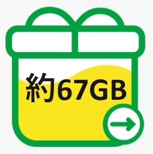mineo マイネオ パケットギフト 約67GB 送料無料 クーポンをお持ちの方におすすめ！