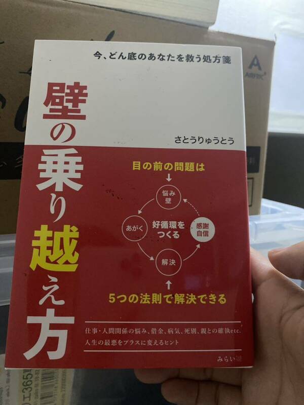 壁の乗り越え方　今、どん底のあなたを救う処方箋 さとうりゅうとう／著