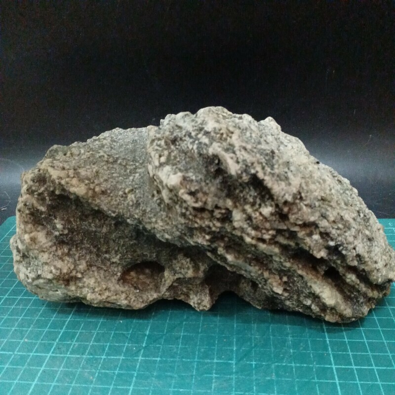 南極の石　柘榴石黒雲母片麻岩　22cm×10cm×12cm　4kg