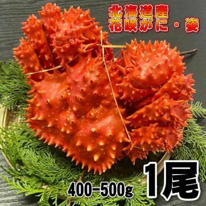 【訳あり】花咲がに　1尾（約400－500ｇサイズ）　ボイル　北海道産　花咲ガニ　かに　蟹　はなさきがに　ハナサキ