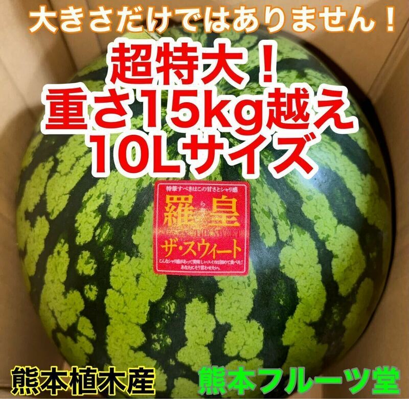 超特大！熊本産【羅皇】秀品10Lサイズ（1玉15〜16kg）熊本フルーツ堂75