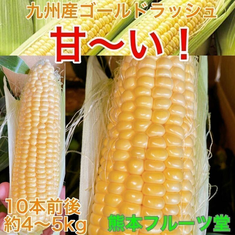 お勧め商品！こちらも生で甘いです！九州産 とうもろこし【ゴールドラッシュ】10本前後セット（約4〜5kg箱込）【秀品】64