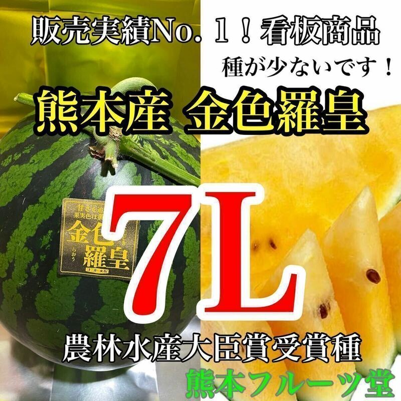 熊本産【金色羅皇】秀品7Lサイズ（1玉12〜13kg）熊本フルーツ堂77