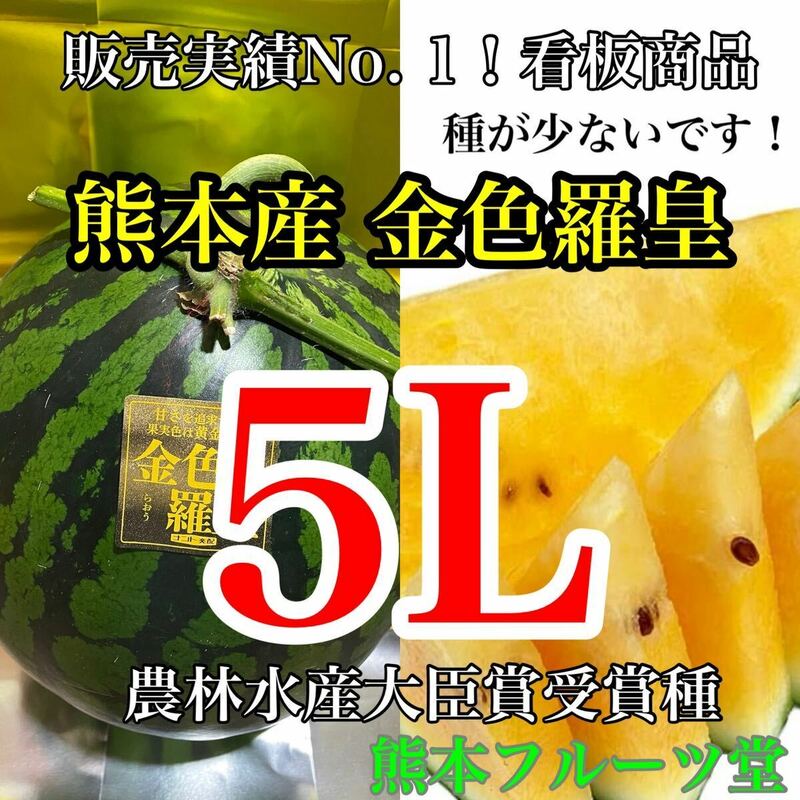 熊本産【金色羅皇】秀品5Lサイズ（1玉10〜11kg）熊本フルーツ堂67