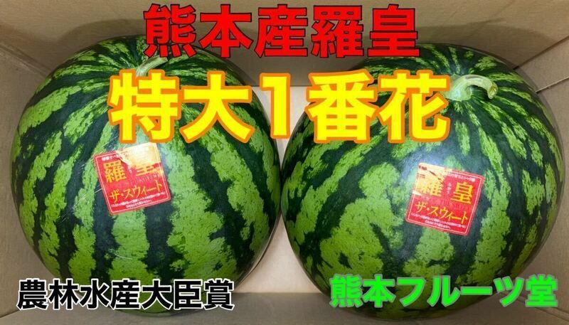 【特大1番花！】熊本産【羅皇】秀品6〜7Lサイズ（2玉23〜25kg箱込）熊本フルーツ堂58