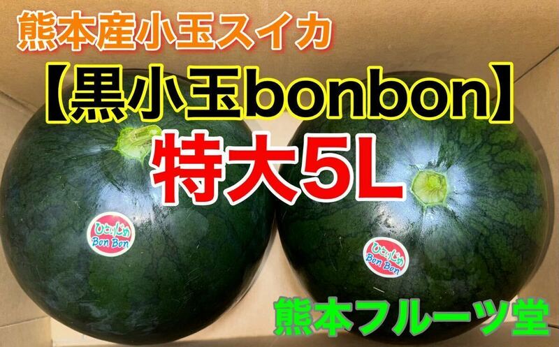 熊本産【黒皮小玉スイカbonbon】特大サイズ（秀品5L 2玉約9.2kg箱込）熊本フルーツ堂22