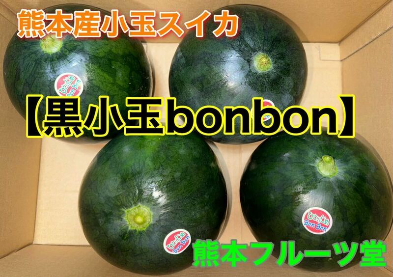 熊本産【黒皮小玉スイカbonbon】特大サイズ（秀品3L 5玉約10.3kg箱込）熊本フルーツ堂21