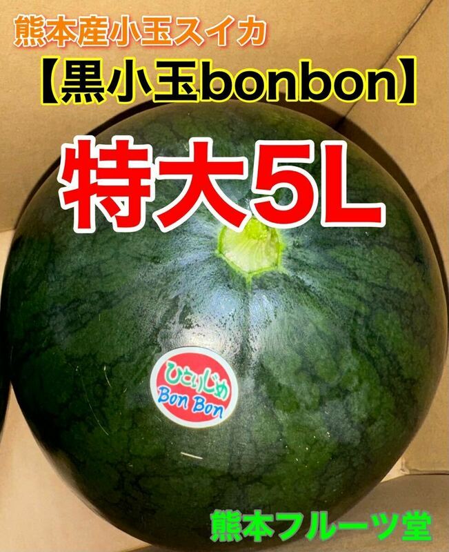 熊本産【黒皮小玉スイカbonbon】特大サイズ（秀品5L 1玉約4.5kg箱込）熊本フルーツ堂21