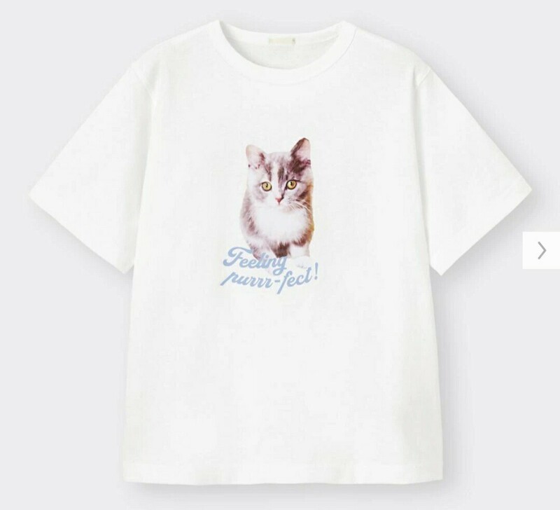XLサイズ 新品 アニマル グラフィックT オフホワイト表記(ホワイト 白) 半袖 Tシャツ 綿100 猫 ネコ GU LLサイズ 送料無料