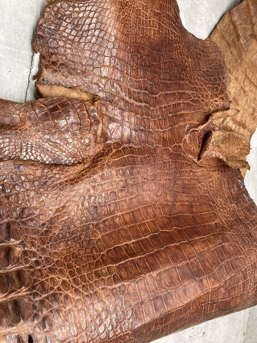 Z1a クロコダイル 鰐皮 ブラウン ワニ革 素材 レザークラフト 生地 全長約180cm 茶色 レザークラフト