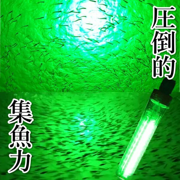 USB給電式 集魚灯 夜釣り 海釣り 集魚ライト 20W 緑光 LED 水中集魚ライト IPX8防水 5m モバイルバッテリー対応 12Vバッテリー不要 F