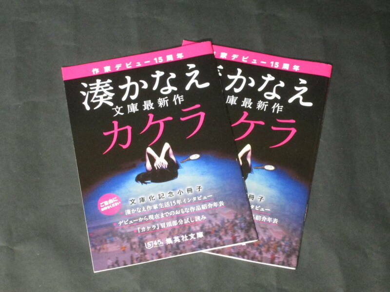 湊かなえ【カケラ 文庫化記念小冊子】作家デビュー15周年インタビュー/カケラ冒頭試し読み☆集英社文庫