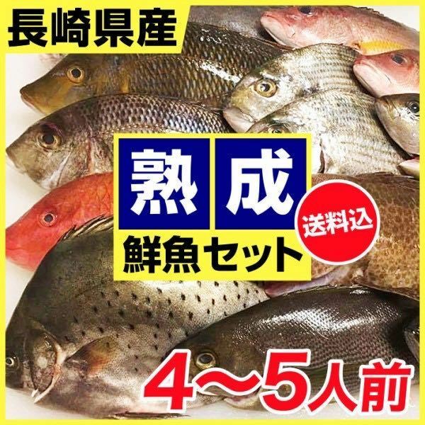 熟成鮮魚お楽しみセット！！本当に美味しい魚を食べさせます！！