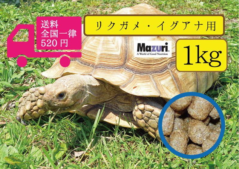 ★最安値に挑戦【マズリMazuri】5M21 トータスダイエット リクガメ用フード　1ｋg　リクガメ、イグアナ用