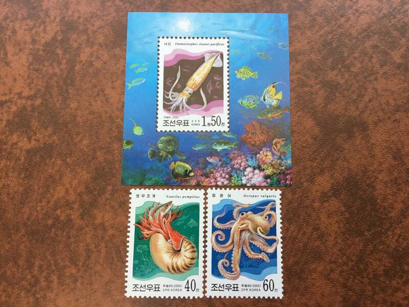 未使用　北朝鮮切手　2000年　海洋生物　イカ タコ オウムガイ　3種