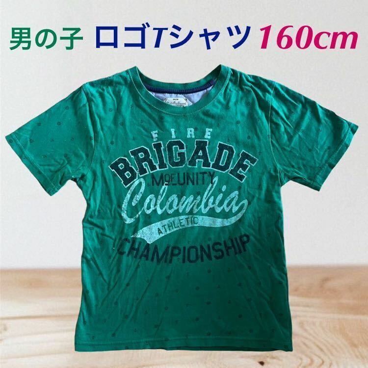 (108) 半袖　Tシャツ　ロゴ　緑　グリーン　160cm