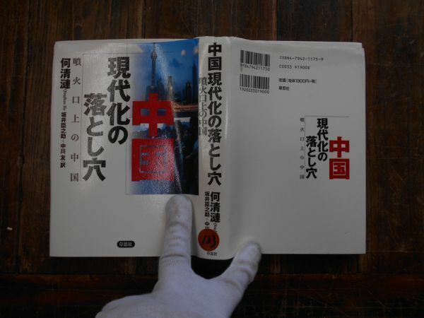 古本 Yno.123 中国現代化の落とし穴　何清漣　坂井臣之助　中川友　噴火口上の中国　草思社　送240円