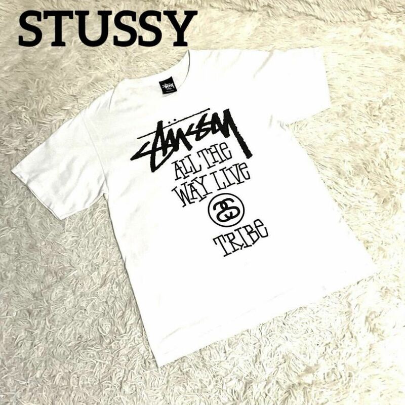 STUSSYステューシー カットソー Tシャツ 半袖 ビックロゴ プリント　古着　ホワイト　サイズS メンズ