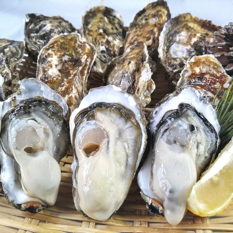 【身入り、味が一番良い本当の旬到来中】生食用 殻付き 牡蠣 ４ｋｇ（28~70粒）牡蠣 殻付き 牡蛎 カキ 牡蛎 牡蠣殻付き 殻付き牡蠣 