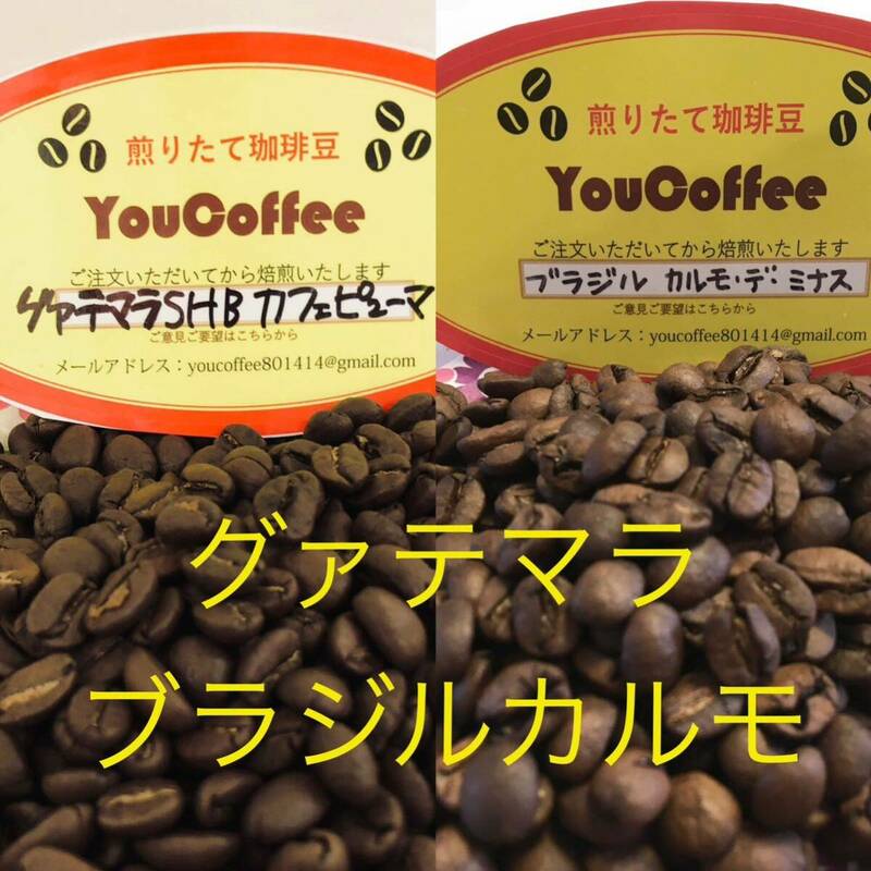 コーヒー豆 セット Qグレード グァテマラSHBカフェピューマ & ブラジル カルモ デ ミナス 180 ずつご注文後に焙煎　だから新鮮！ YouCoffee