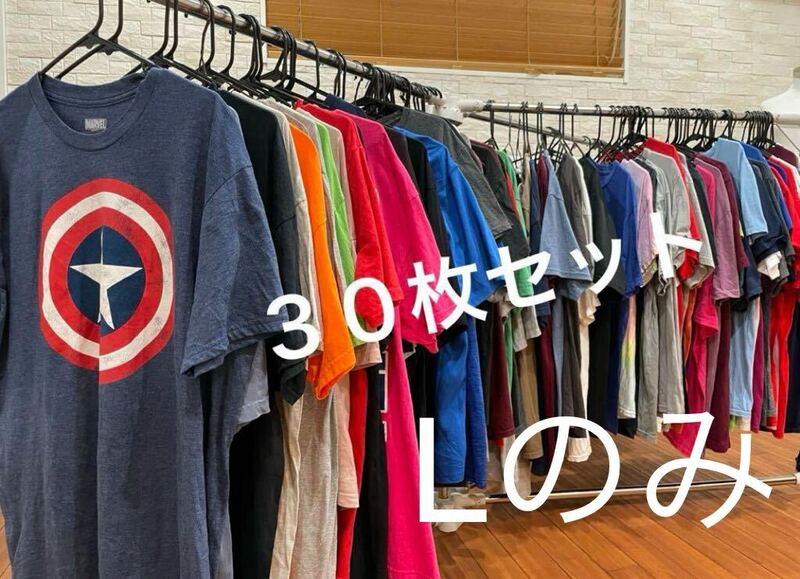 古着卸　メンズ　Tシャツ　30枚 まとめ売り 仕入れ　 Lのみ　　送料無料　即決