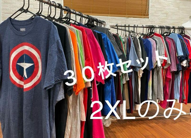 古着卸　メンズ　Tシャツ　30枚 まとめ売り 仕入れ　 2XLのみ　送料無料　即決