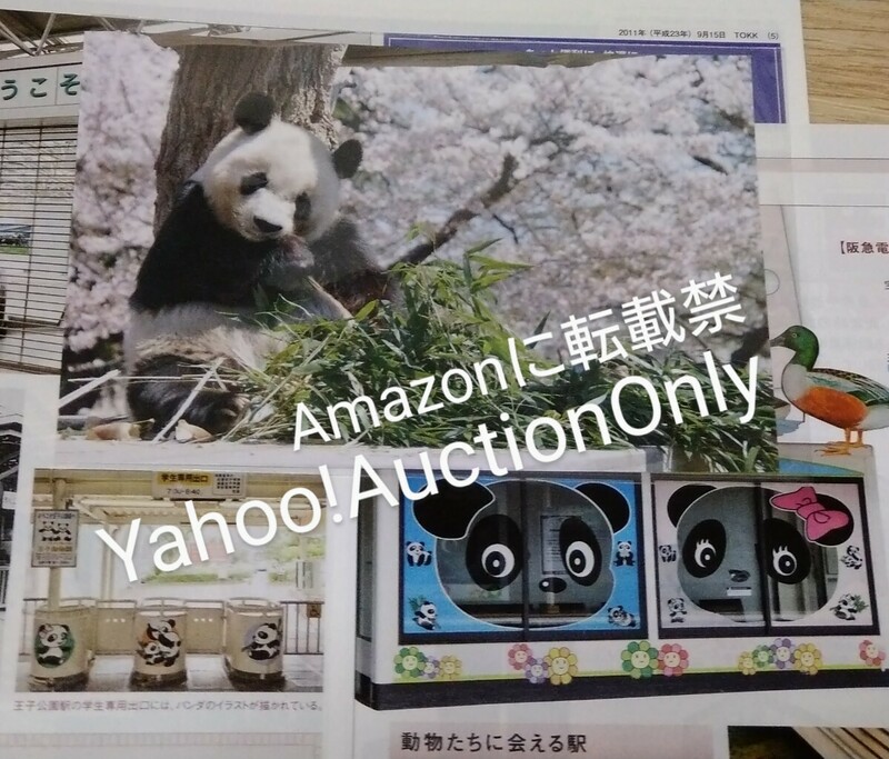 神戸 王子動物園■パンダ待合室 2011年 タンタン 記事 2枚■ポストカード
