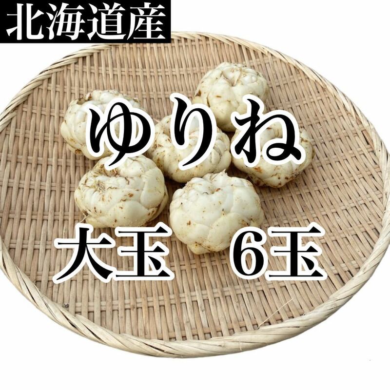 北海道産　ゆりね　大玉6玉入り約1キロ弱　送料無料