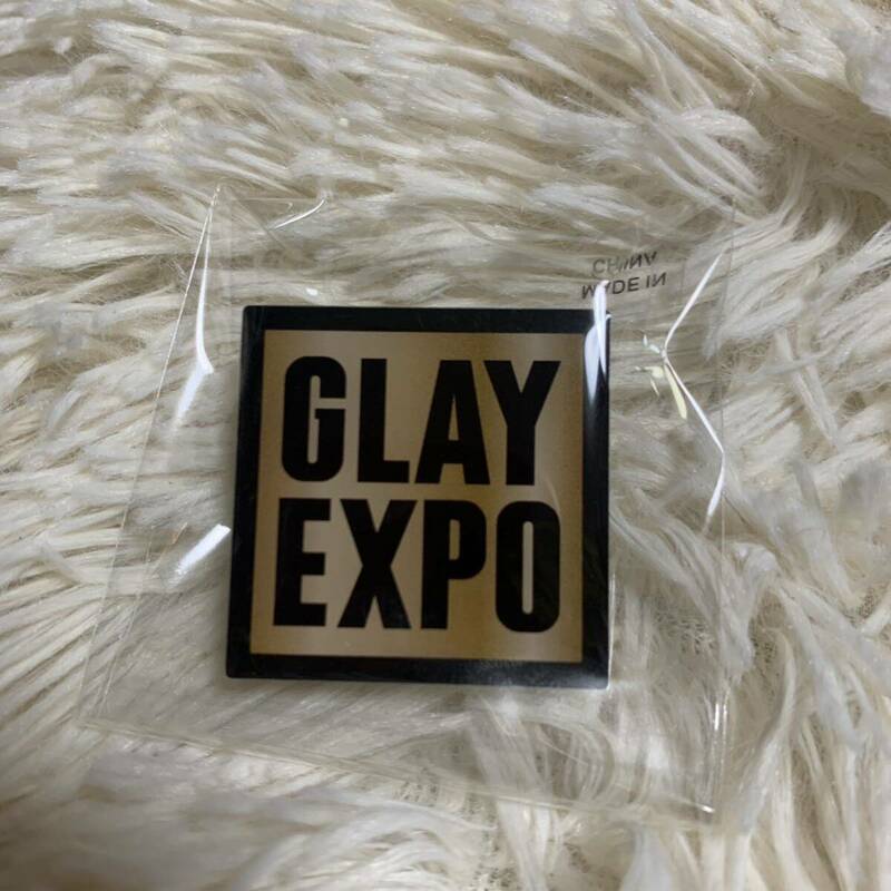 GLAY EXPO 2024 ランダムバラエティグッズ ピンバッジg