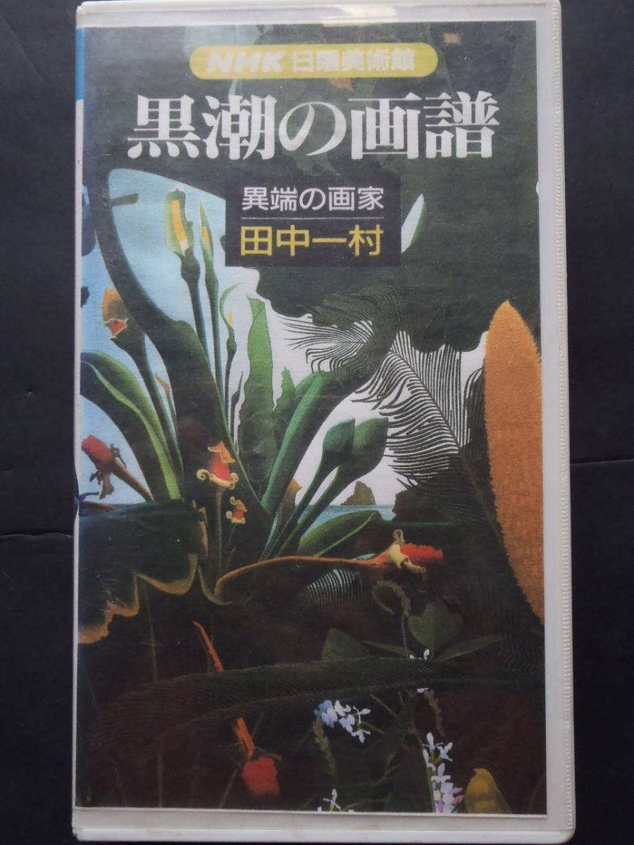 黒潮の画譜 ★ 異端の画家　田中一村　VHS　非レンタル
