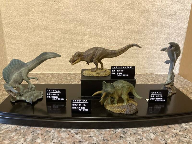 いきもの大図鑑　恐竜　4種セット　ディスプレイ用説明札、ケース付き