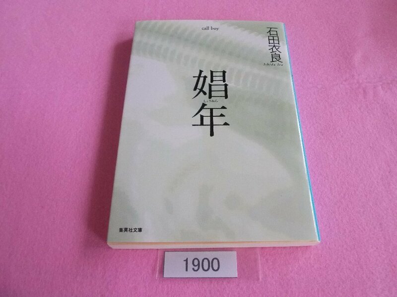 文庫本／石田衣良／娼年／いしだいら／しょうねん／call boy／管1900