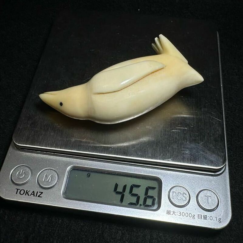 【マッコウクジラの歯加工品 45.6g】抹香 鯨 クジラ 歯 牙 印材 鯨歯