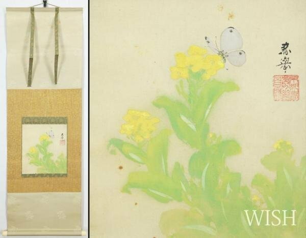 【真作】【WISH】山元春挙「菜の花」日本画 掛軸 絹本 二重箱 勝田哲鑑定箱 　　〇帝室技芸員 帝国美術院会員 京画壇巨匠 #24050031