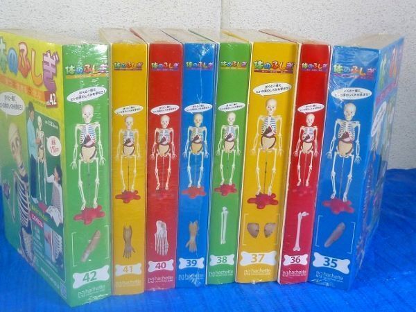 S334★【アシェット アーサーが教える 体のふしぎ】　未開封 /8巻セット 35～42　骨格 内臓 　組み立て人体模型　