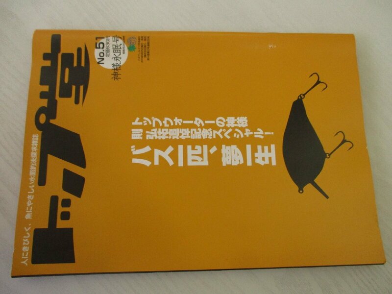 〇ＵＳＥＤ〇〇Ｅ２９〇トップ堂　Ｎｏ．５１　 お見逃しなく！