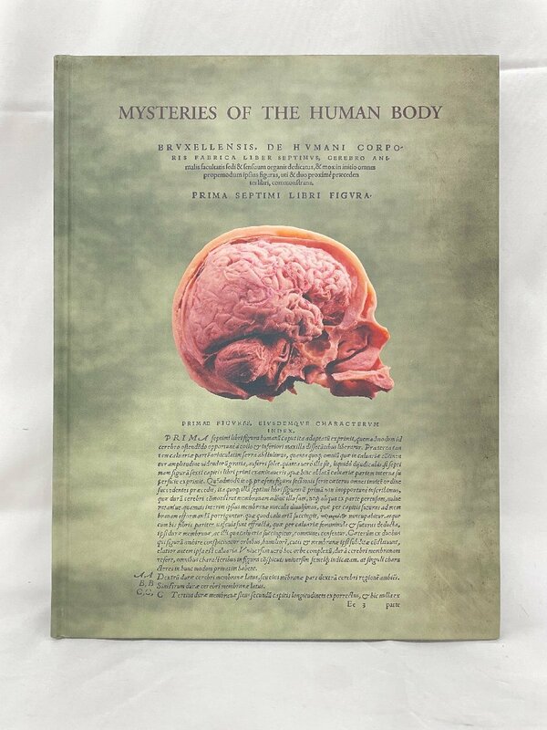 Y615 グローバルビューロー株式会社 人体の不思議展 MYSTERIES OF THE HUMAN BODY 2008年発行 図録 図鑑 医学書 人体 プラスとミック 標本