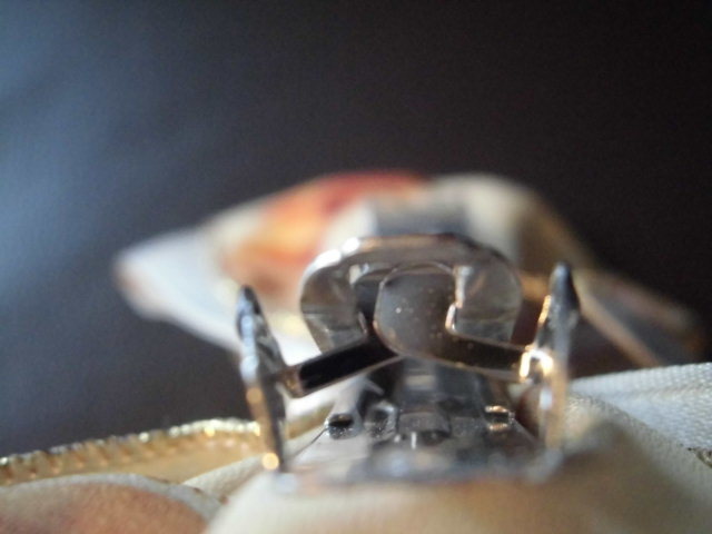 {$data['title']拍卖