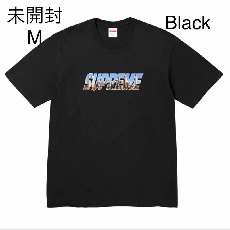 未開封 23fw Supreme Gotham Tee Black size:M タグ ステッカー付 Supreme Online 購入 シュプリーム Tシャツ ブラック 黒 